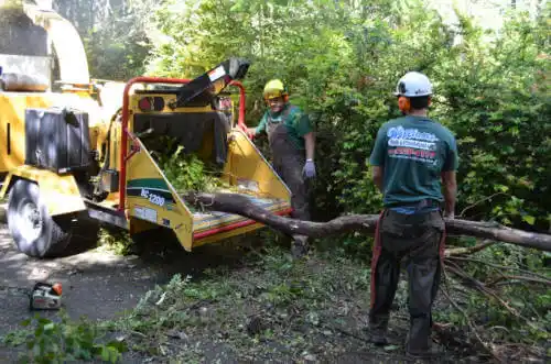 tree services Vandenberg Village